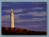 Faro rosato