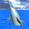delfino