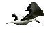 gabbiano